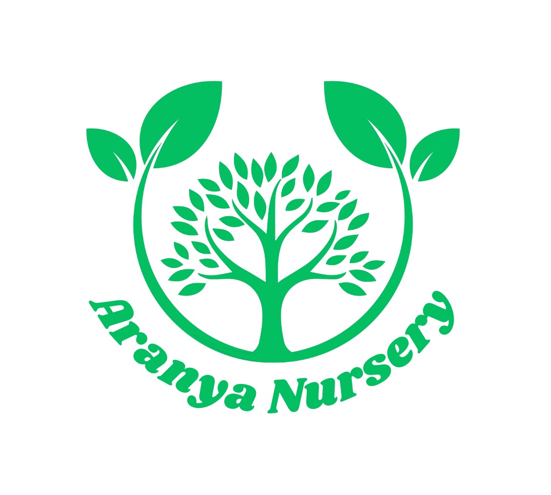 Aranya Nursery